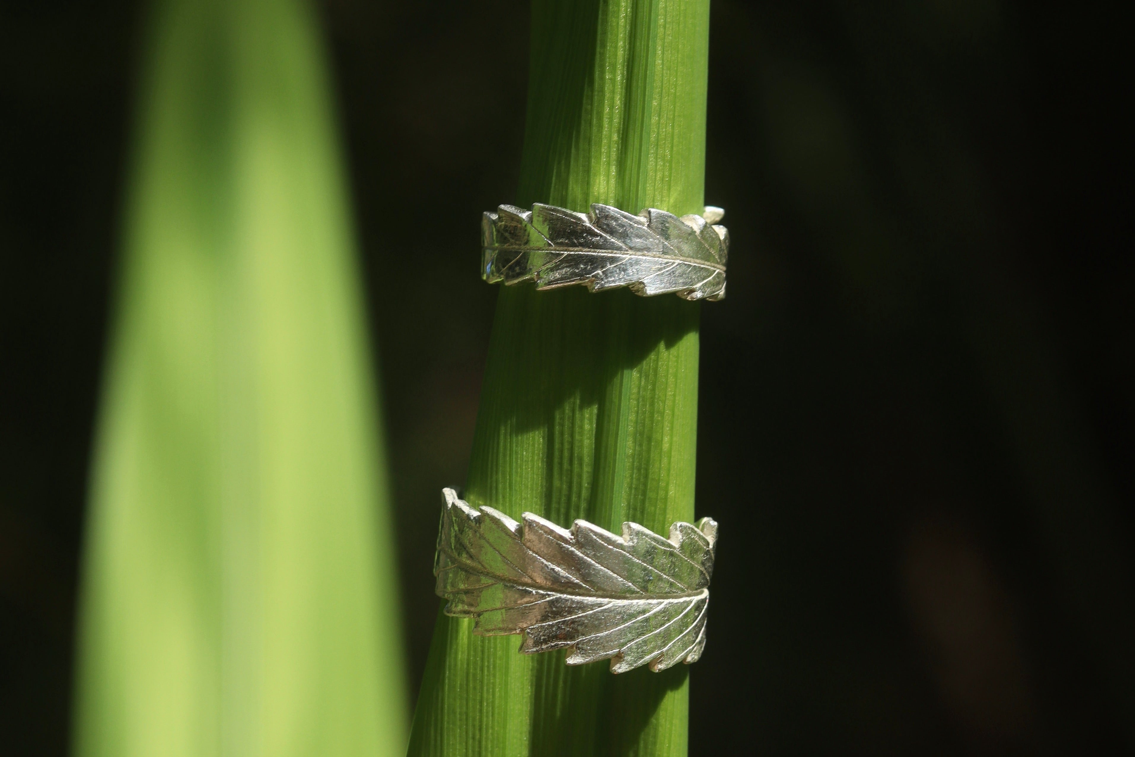 Living Leaf Fine Silver Ring Band