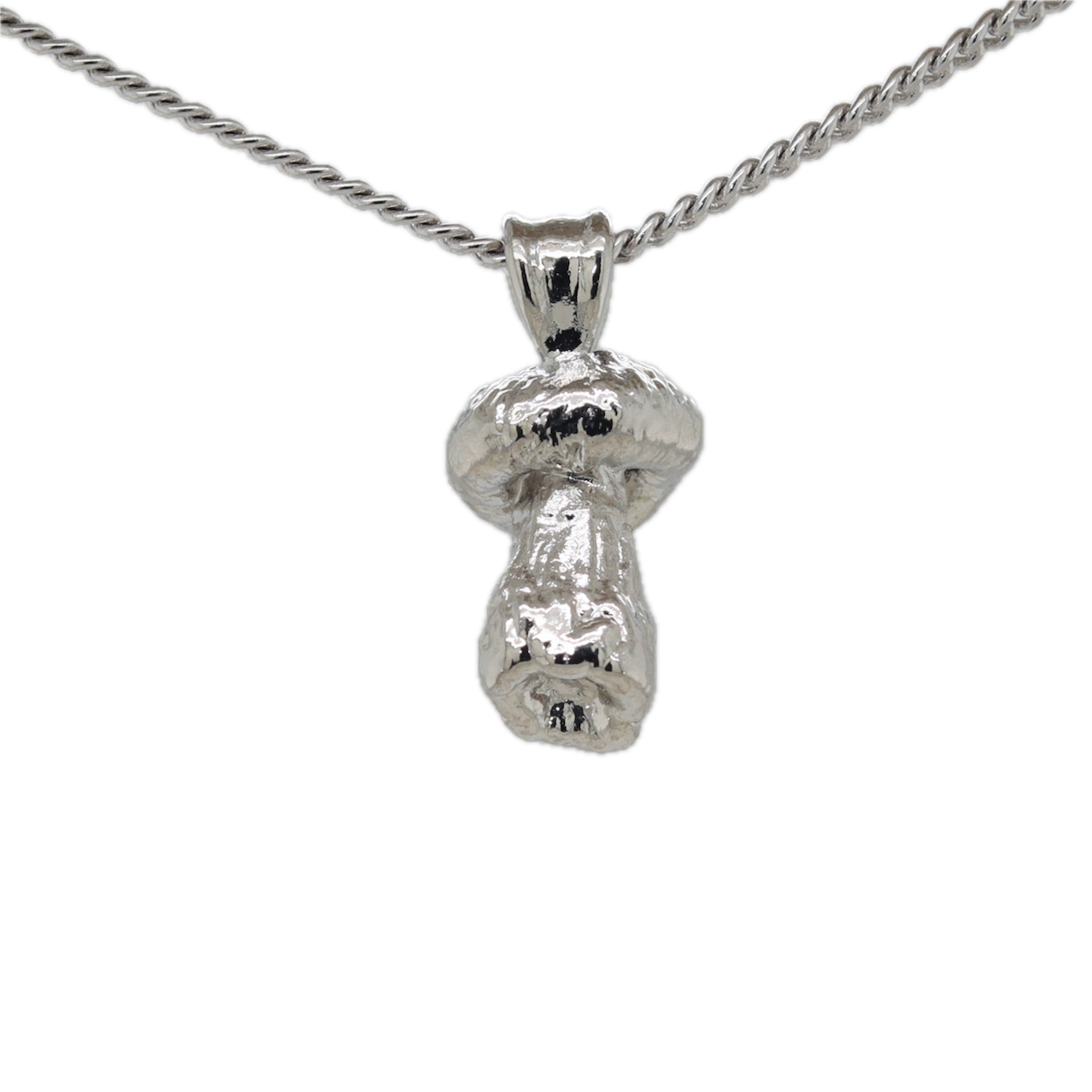 Platinum Special Collection Pendant