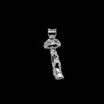 Load image into Gallery viewer, Platinum Special Collection Pendant
